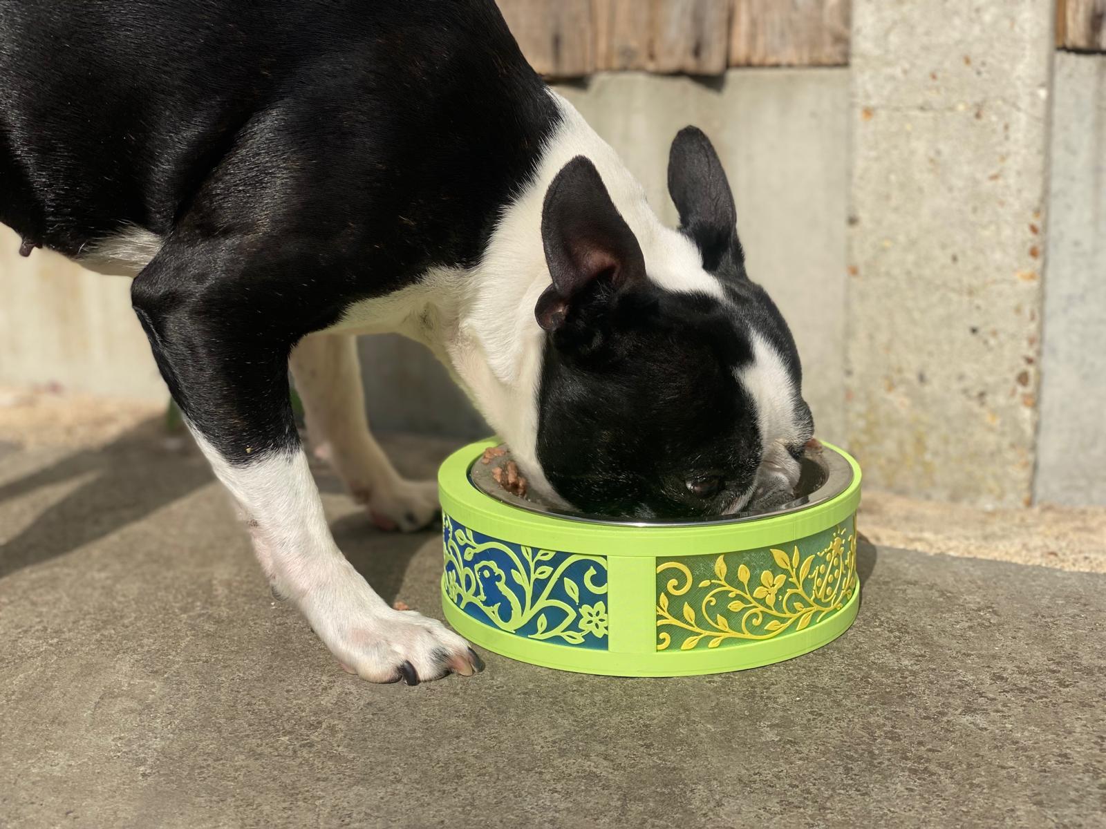 Small Dog Bowl Base - Stainless Steal Bowl not included
