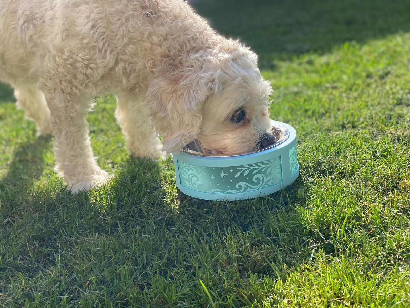 Small Dog Bowl Base - Stainless Steal Bowl not included