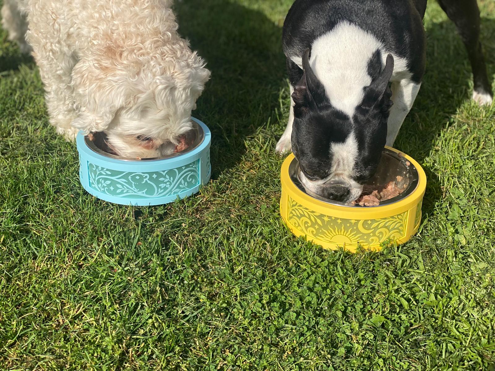 Small Dog Bowl Base - Stainless Steal Bowl not included