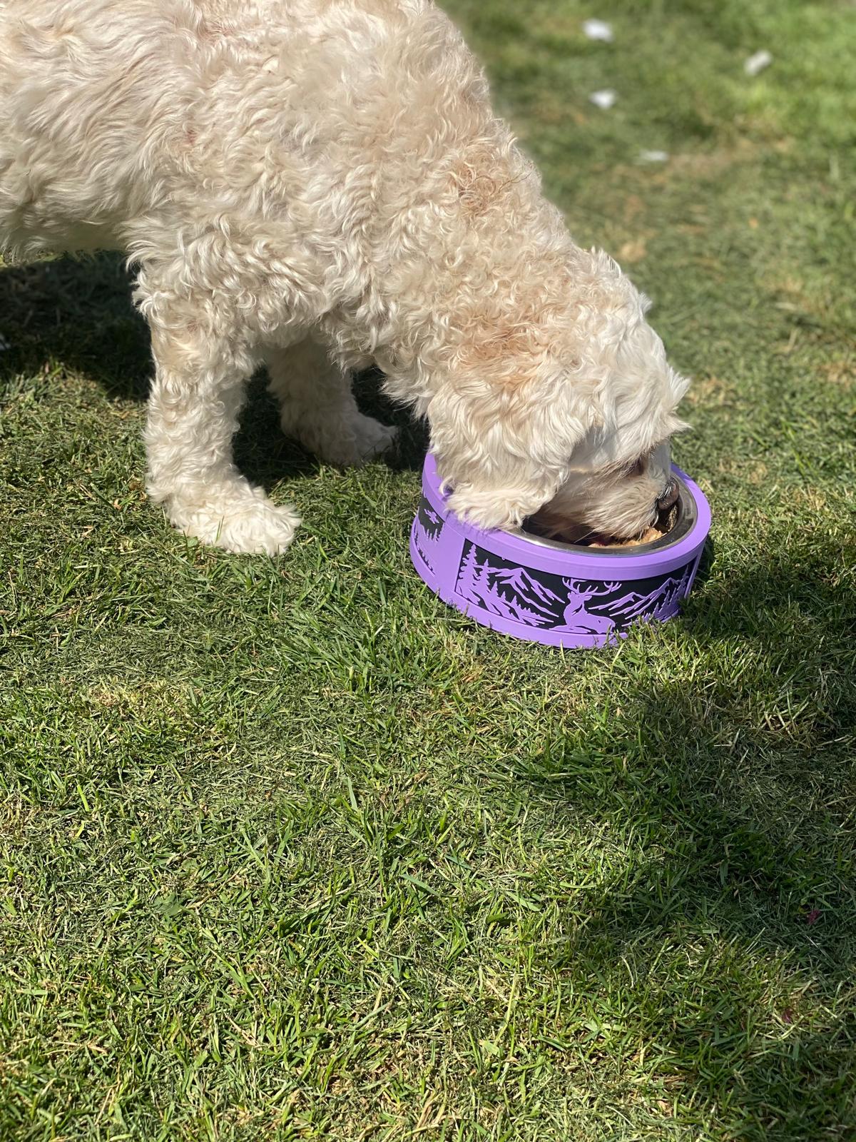 Small Dog Bowl Base - Stainless Steal Bowl included