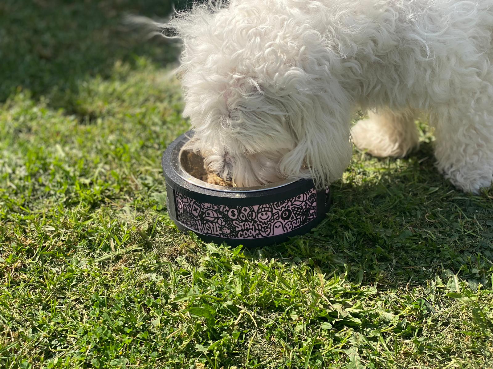 Small Dog Bowl Base - Stainless Steal Bowl included