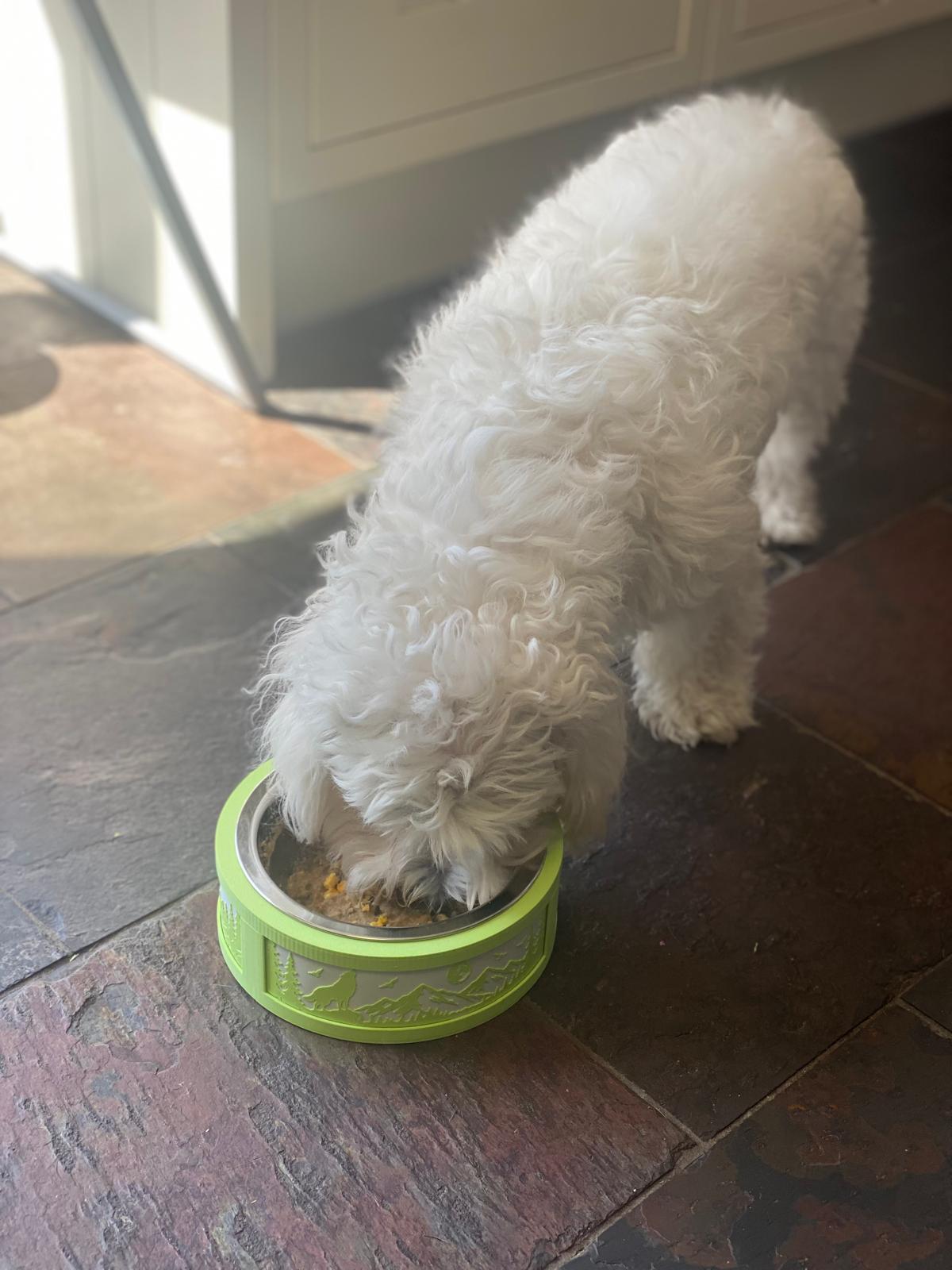 Small Dog Bowl Base - Stainless Steal Bowl included